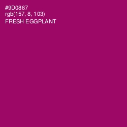 #9D0867 - Fresh Eggplant Color Image